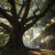 The 100-Year Business: Building for Legacy Instead of Exit